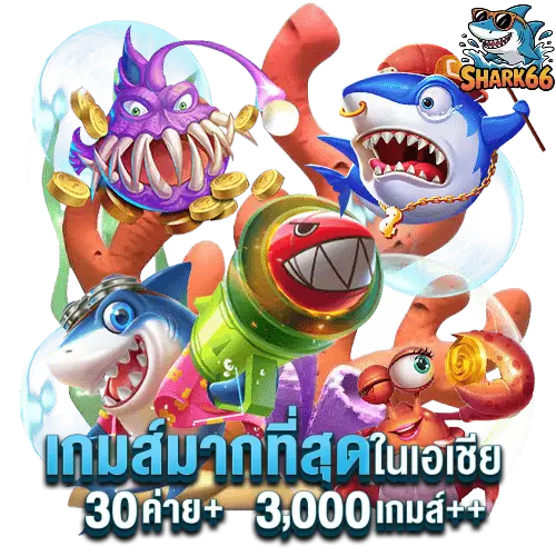 shark66-เข้าเล่น